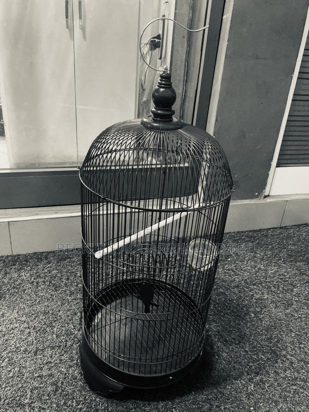 Noel’S Long Birdcage · Photo 2