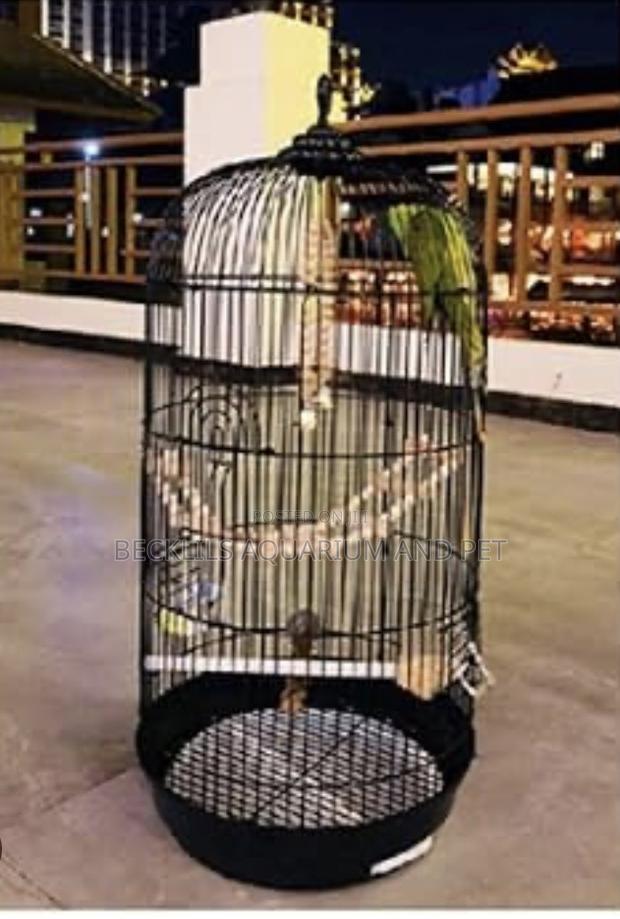 Noel’S Long Birdcage · Photo 3