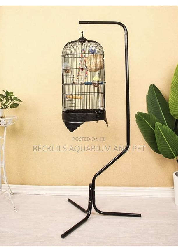 Noel’S Long Birdcage · Photo 1