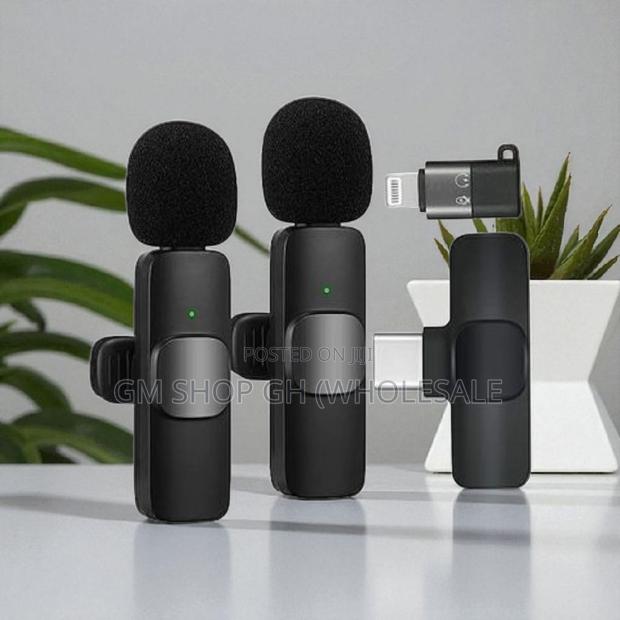 Top Performance 2 in 1 Wireless Microphone (46678) · Photo 2