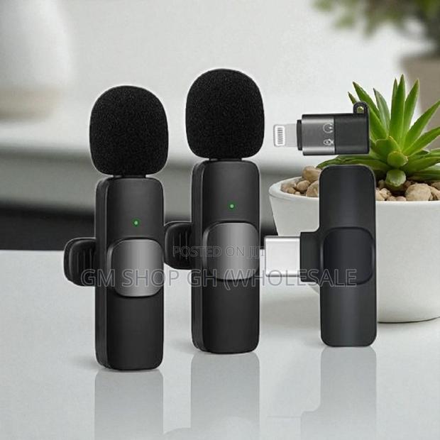 2 in 1 Wireless Microphone With Long Battery Life (35688) · Photo 1