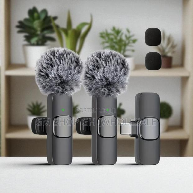 Wireless Microphone All in 1 Microphone (432466) · Photo 2
