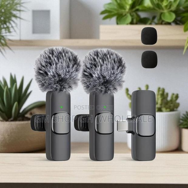 Long Battery Life All in 1 Microphone (46896) · Photo 1