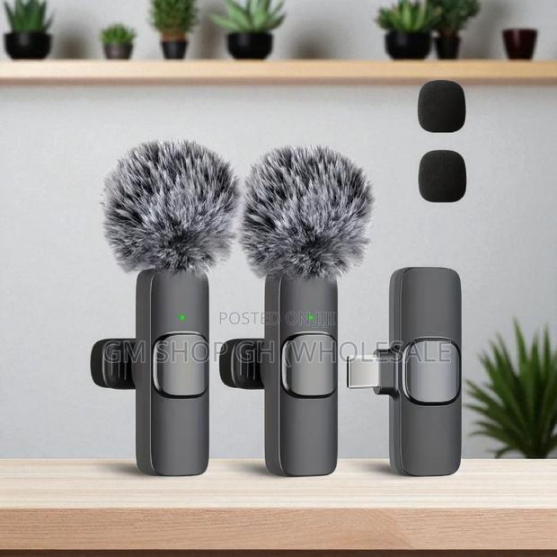 All in 1 Wireless Microphone (35778) · Photo 2
