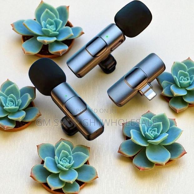 Original All in 1 Wireless Microphone (654678) · Photo 1