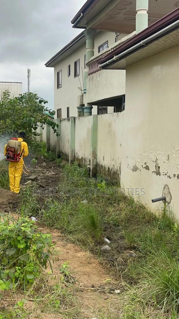 Gomoa West Fumigation With Cleantex · Photo 1