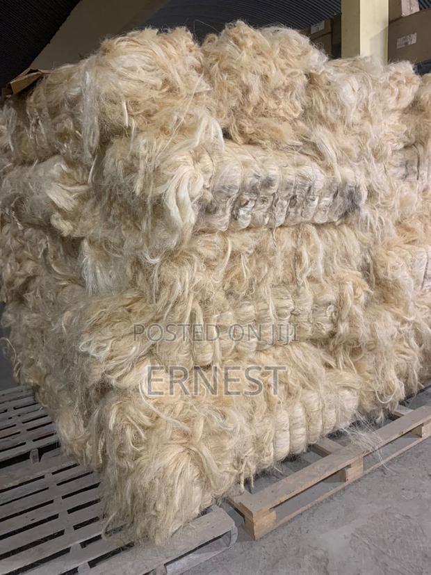 P.O.P Fiber · Photo 2