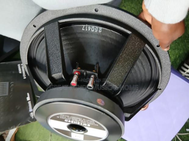 Jac 15 Inches Single Magnet Naked Speakers · Photo 3