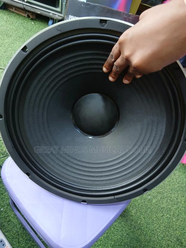 Jac 15 Inches Single Magnet Naked Speakers · Photo 5