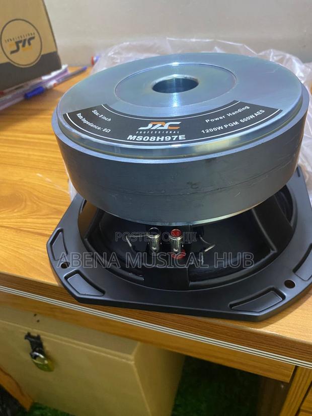 8 Inches Naked Speaker (Double Magnet) · Photo 1
