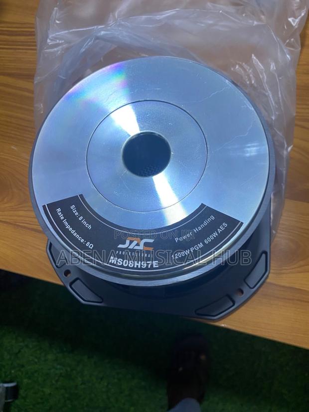 8 Inches Naked Speaker (Double Magnet) · Photo 2