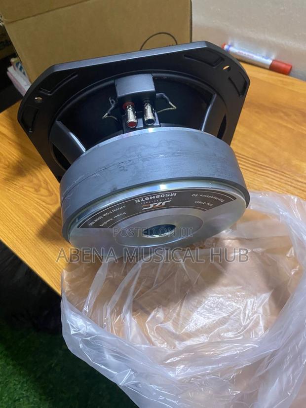 8 Inches Naked Speaker (Double Magnet) · Photo 6