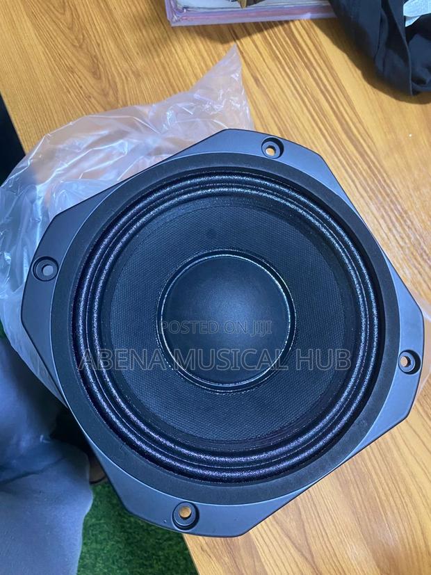 8 Inches Naked Speaker (Double Magnet) · Photo 4