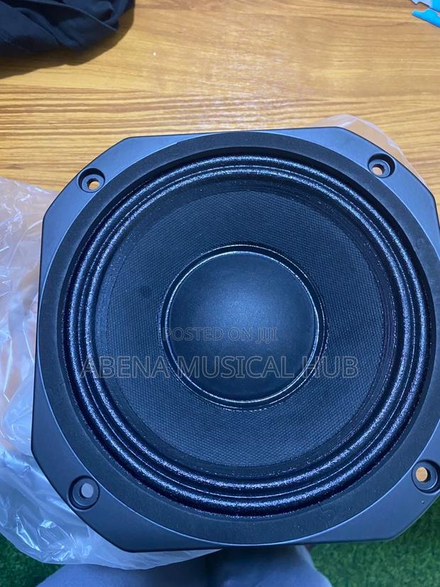 8 Inches Naked Speaker (Double Magnet) · Photo 5