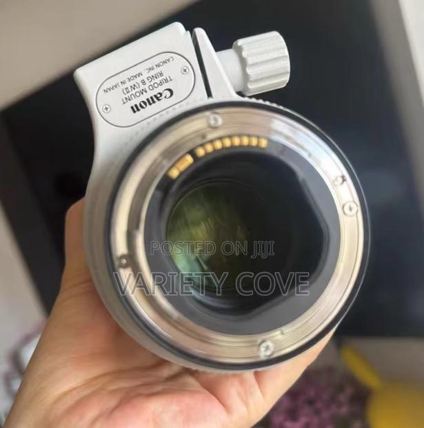 Canon Ef 70-200mm F/2.8l Is Iii Usm Lens · Photo 2
