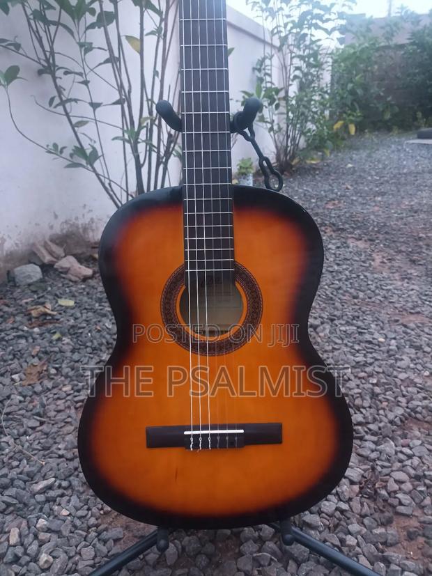 Eko Est. 1959 Cs 10 Sunburst Classical Guitar · Photo 2