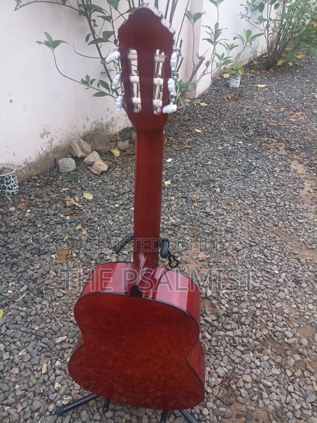 Eko Est. 1959 Cs 10 Sunburst Classical Guitar · Photo 5