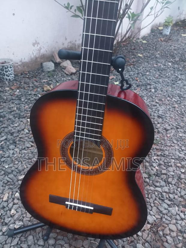 Eko Est. 1959 Cs 10 Sunburst Classical Guitar · Photo 7