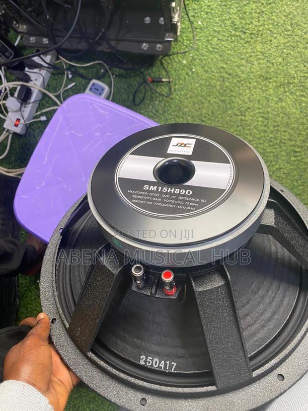 Jac 15 Inches Naked Speaker (1,200 Watts) Pair · Photo 2
