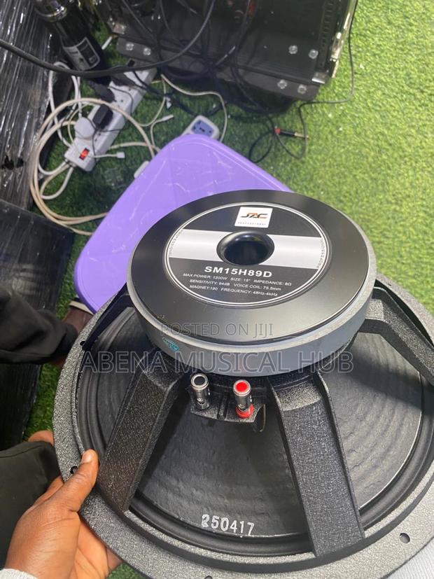 Jac 15 Inches Naked Speaker (1,200 Watts) Pair · Photo 3