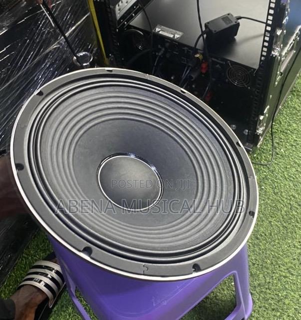 Jac 15 Inches Naked Speaker (1,200 Watts) Pair · Photo 4