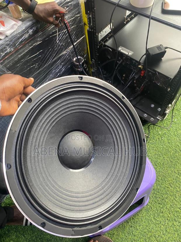 Jac 15 Inches Naked Speaker (1,200 Watts) Pair · Photo 5