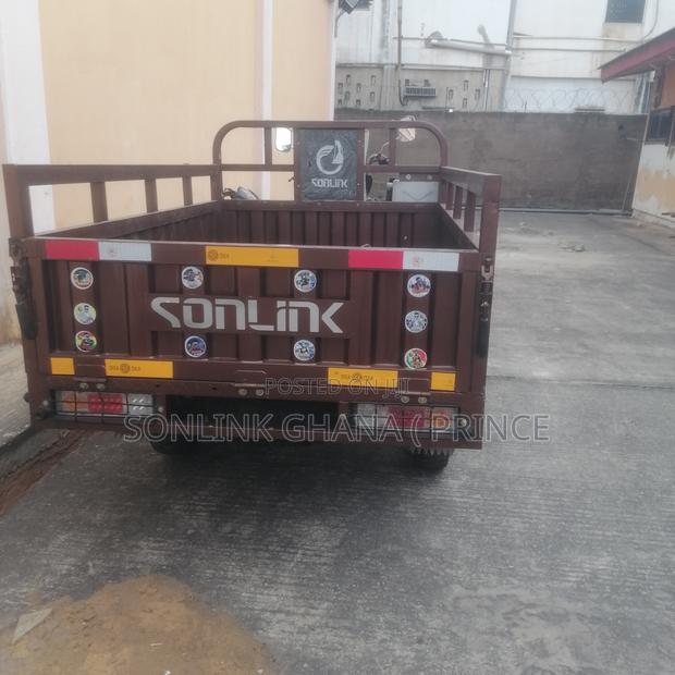 Sonlink SL200ZH-D1 2025 Brown · Photo 3