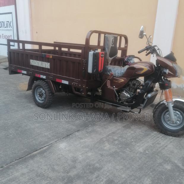 Sonlink SL200ZH-D1 2025 Brown · Photo 1