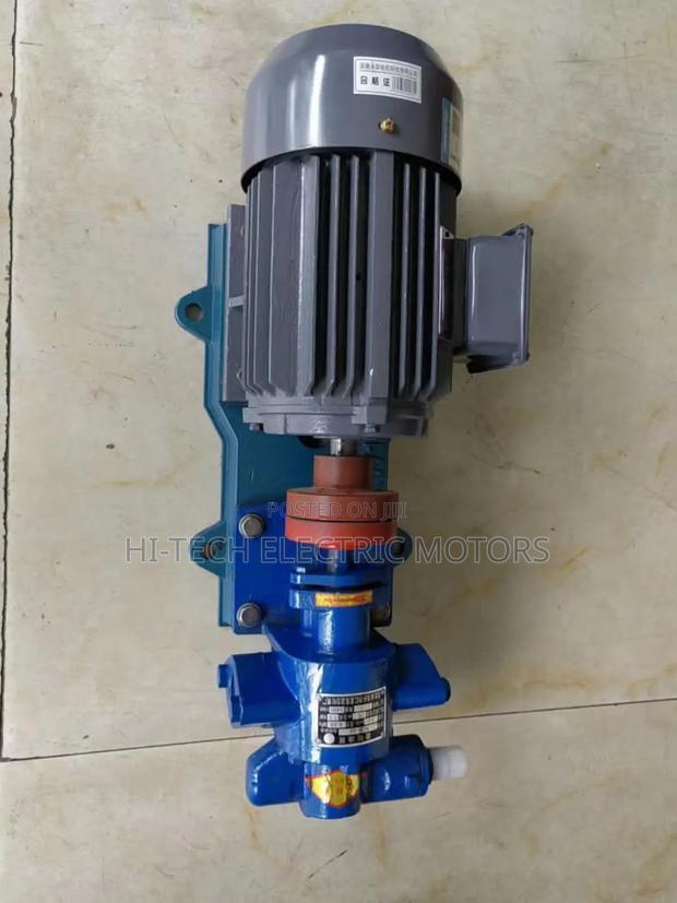 1 Inch Oil Transfer Gear Pump for Diesel, Palm Oil, Paints Etc · Photo 2