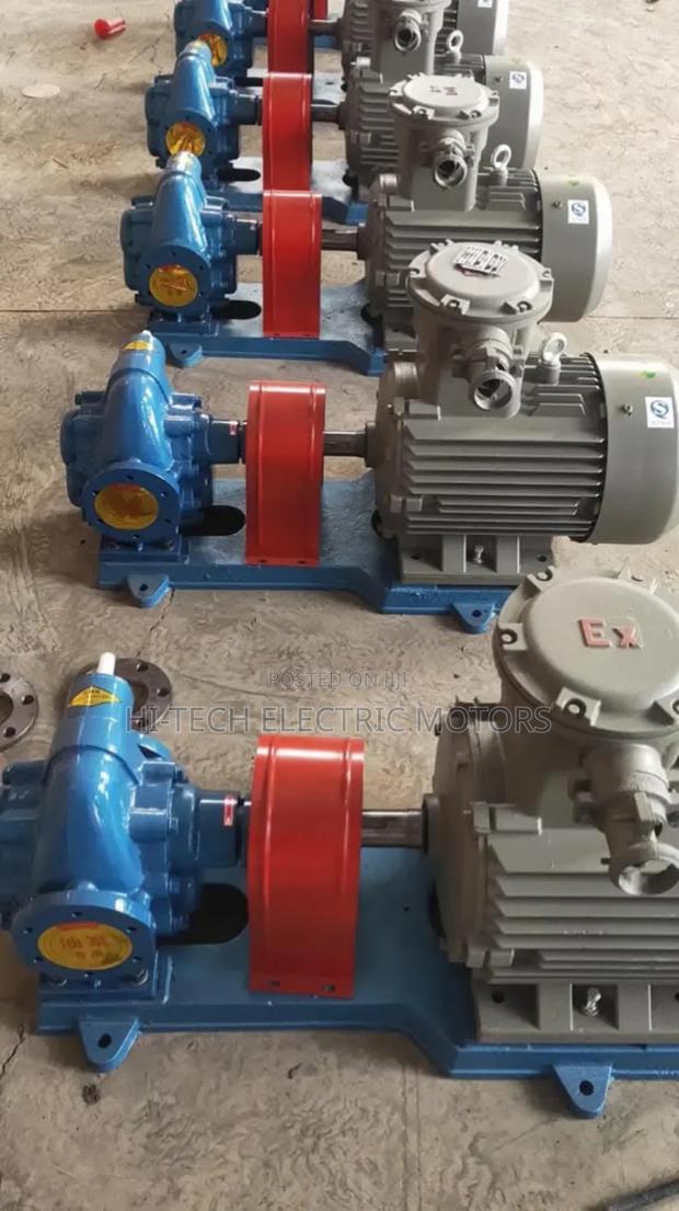 2" Gear Oil Transfer Pump With Explosive Proof · Photo 1