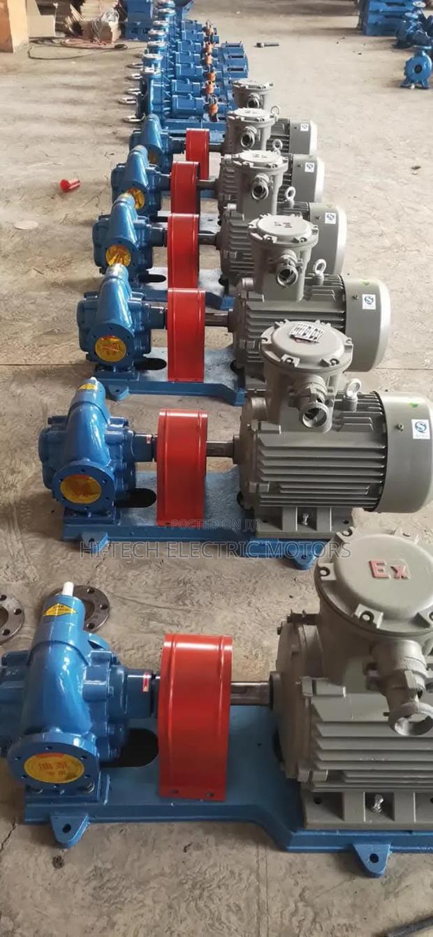 2" Gear Oil Transfer Pump With Explosive Proof · Photo 2