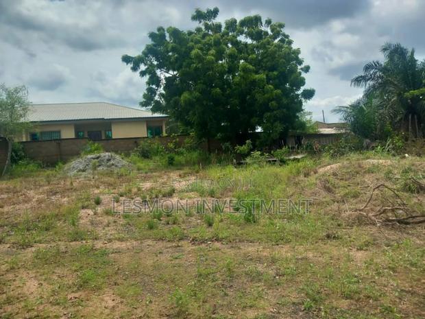 1 Acre Land for Sale · Photo 2