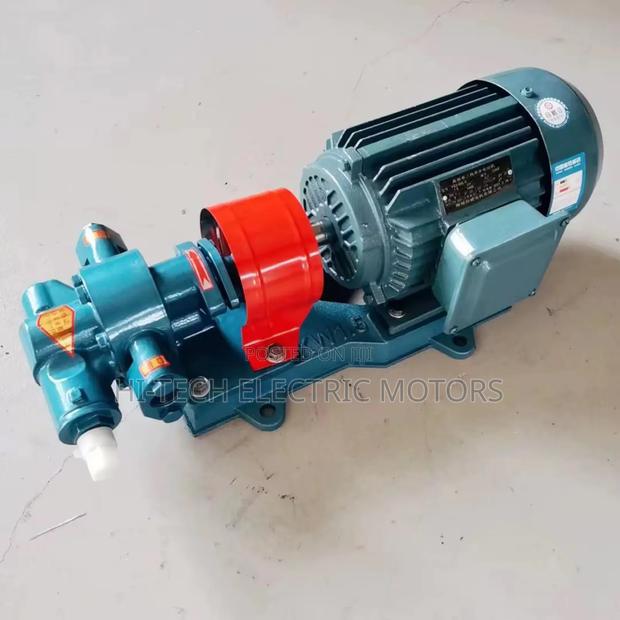 1 Inch Oil Transfer Gear Pump for Diesel, Palm Oil, Paints Etc · Photo 3