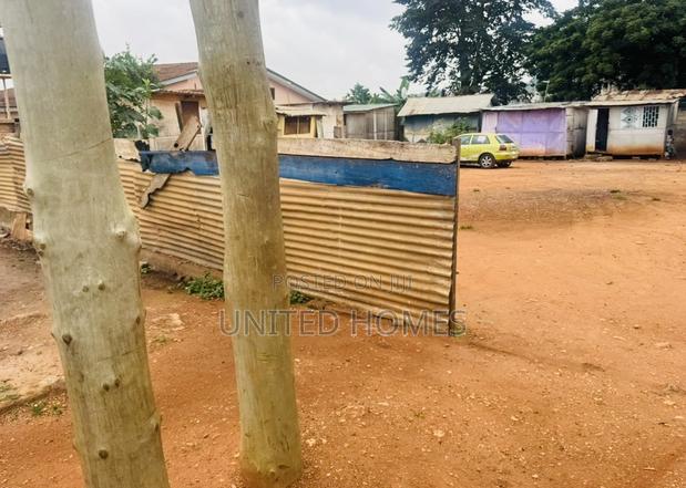 Tantra Anaeji 1and Half Plot for Sale · Photo 4