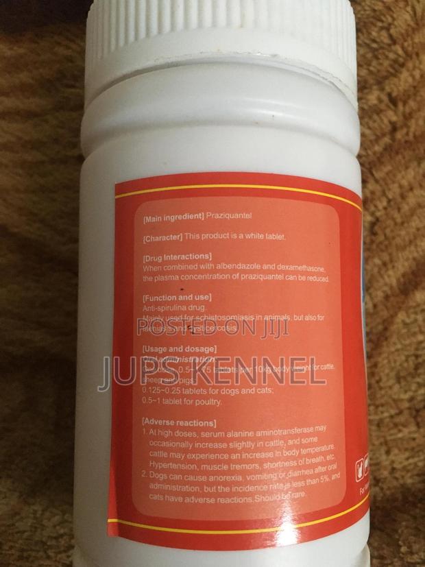 Praziquantel Tablets (Dewormer) · Photo 2