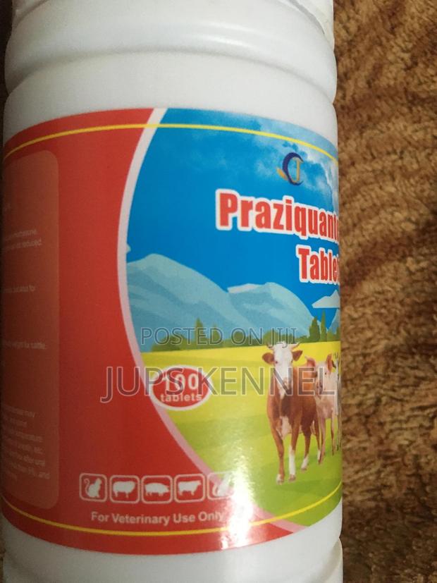 Praziquantel Tablets (Dewormer) · Photo 1
