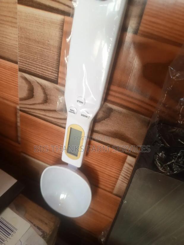 Measuring Scaling Sppoon · Photo 1