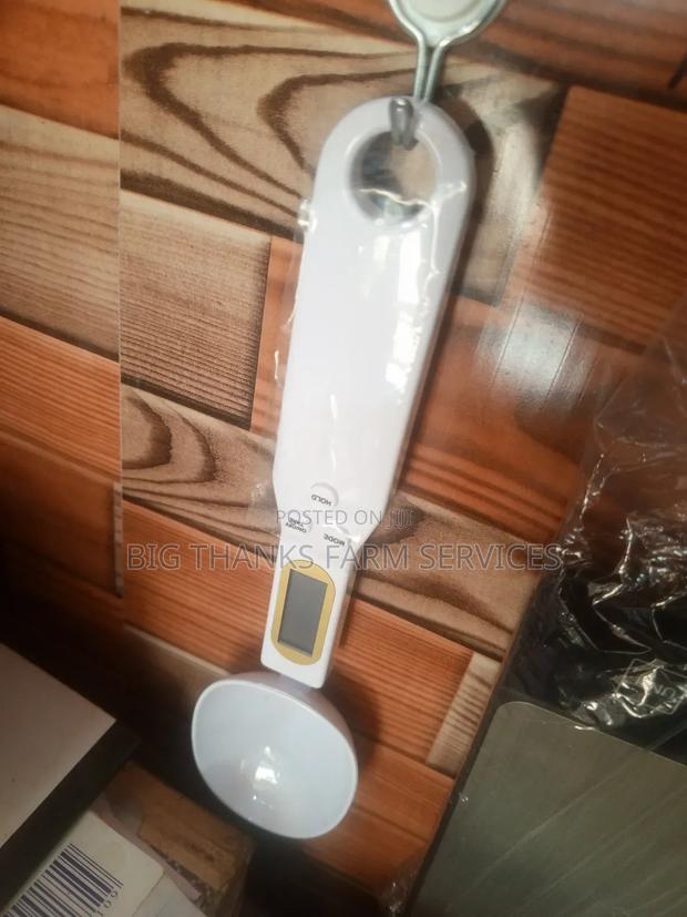 Measuring Scaling Sppoon · Photo 2