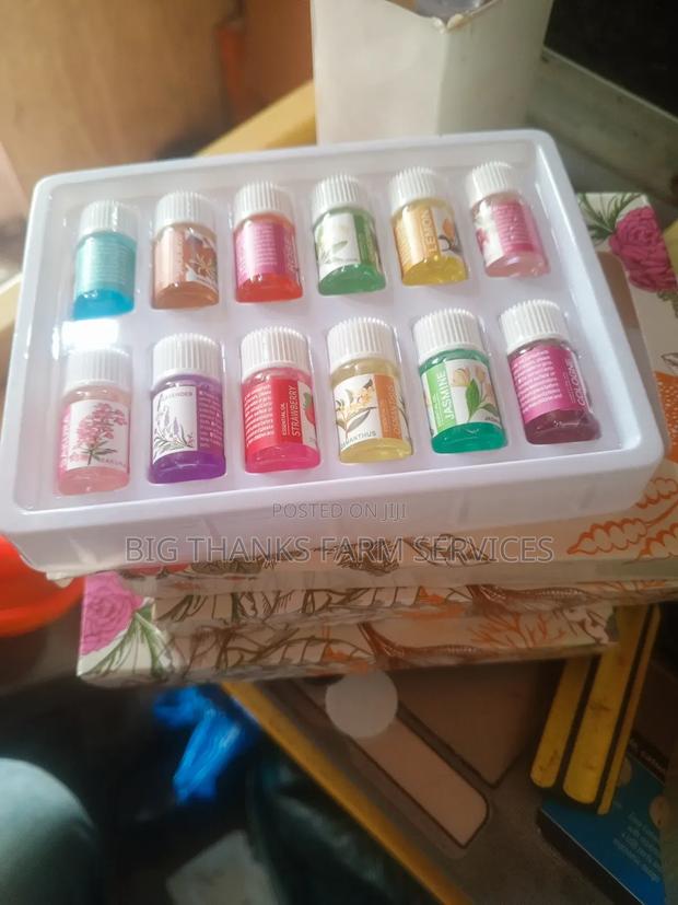 12 In 1 Fragrance Oils