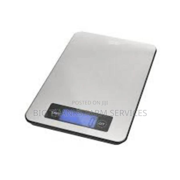 10kg Electronic Scale For Weighing Poultry · Photo 1