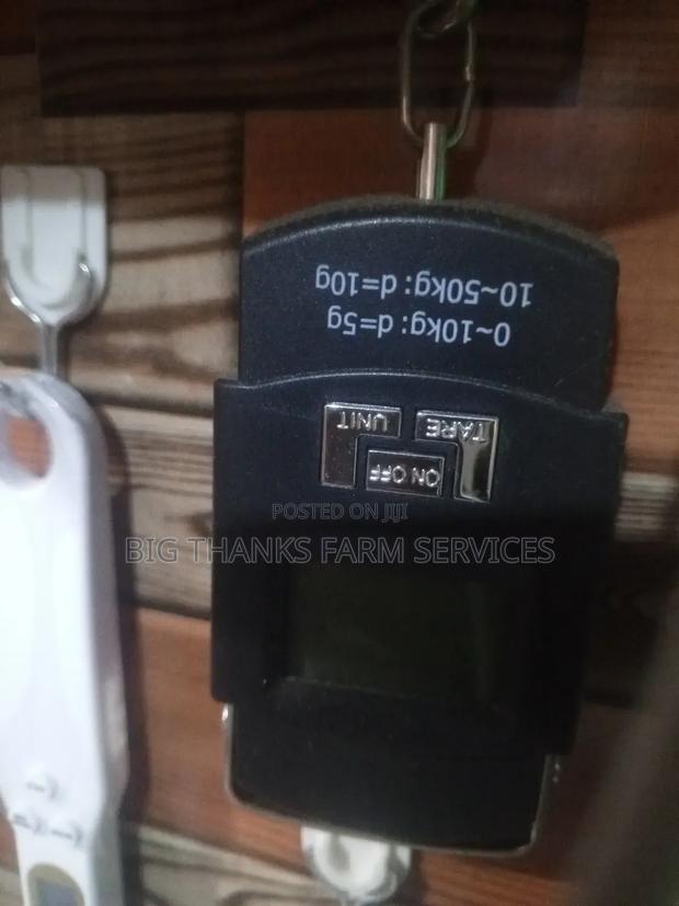 50kg Scale In Stock · Photo 1