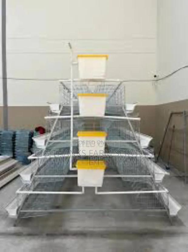 Battery Cage, A Shape 160 Cap, 4 Tier · Photo 1