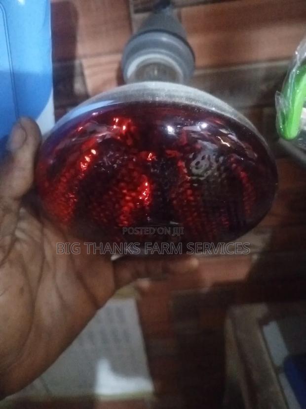 Brooding Lamps, Different Sizes · Photo 1