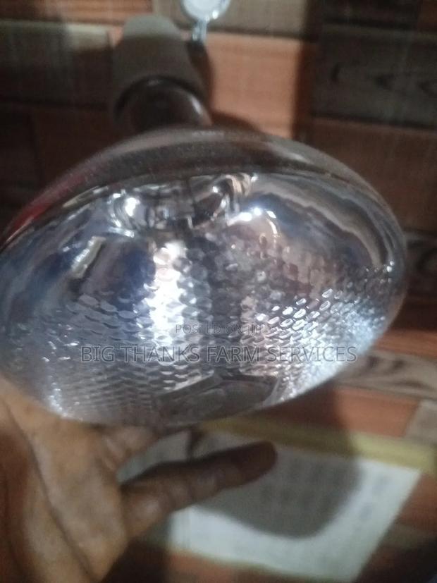 Brooder Lamps · Photo 1