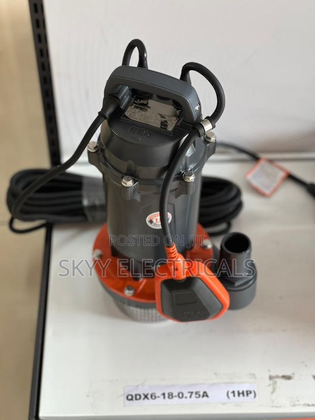 Leo Qdx 1hp Submersible Electric Drainage Pump