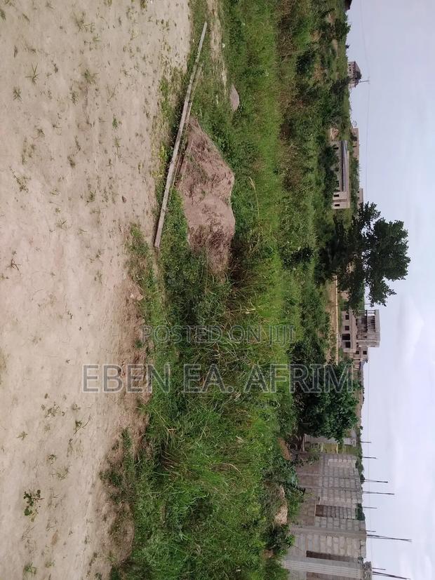 Half Plot of Land · Photo 2