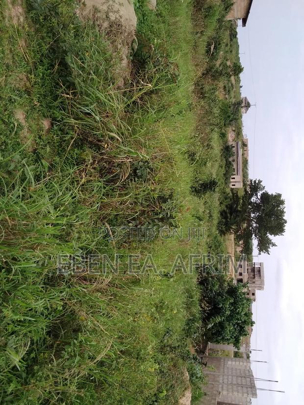 Half Plot of Land · Photo 3