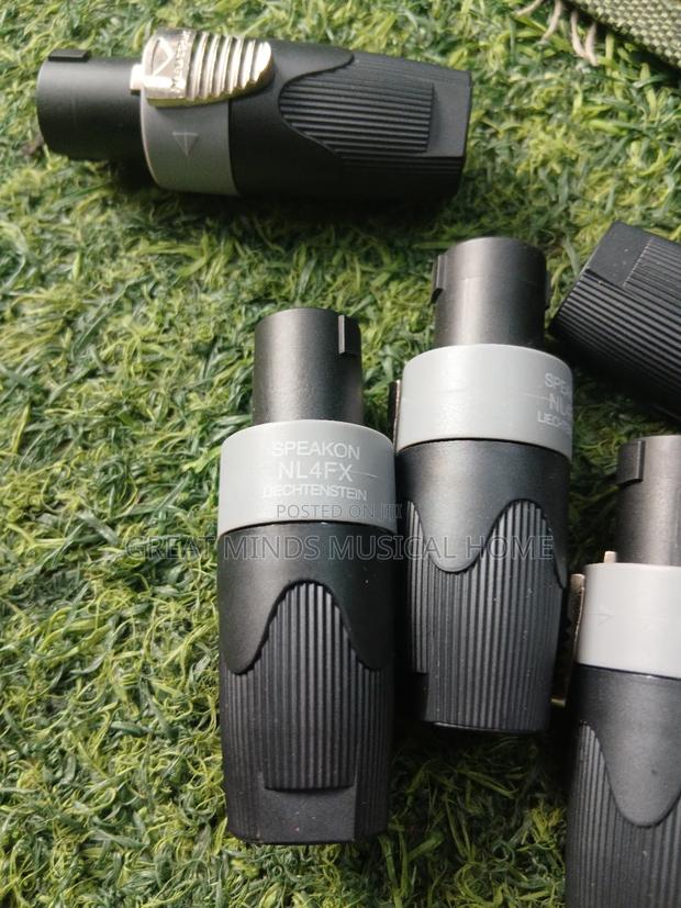 Original Speaker Speakons (Park) · Photo 1
