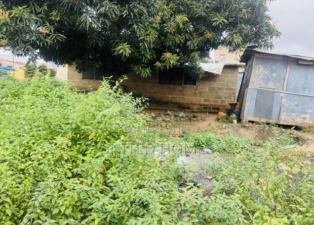 Mallam Warehouse on 4 Plot for Sale · Photo 4