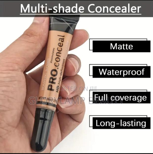 Pro Concealer · Photo 2